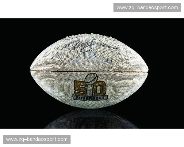 数据NFL门票：用数据点亮橄榄球之夜