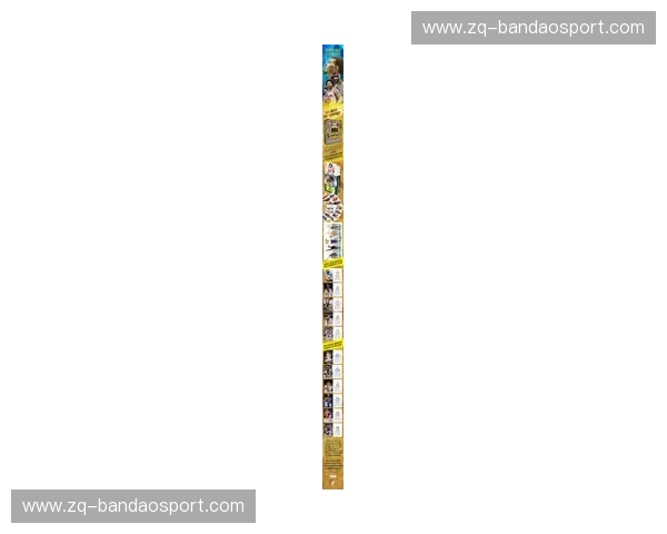 洛城飞龙，休城巨塔：湖人与火箭，姚明时代的史诗对决